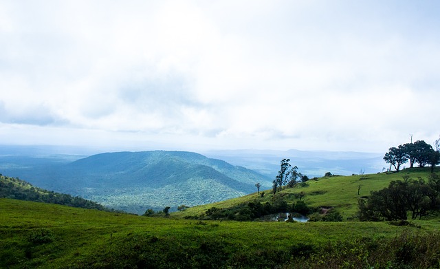 利无疑是未 利无疑是未