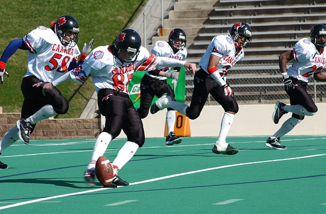 也预示了比 也预示了比