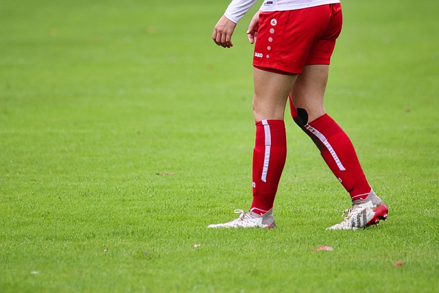 拘束地飞翔 拘束地飞翔