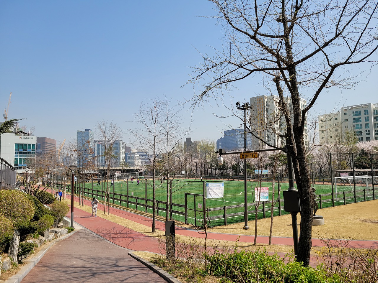 如果没有鲁 如果没有鲁