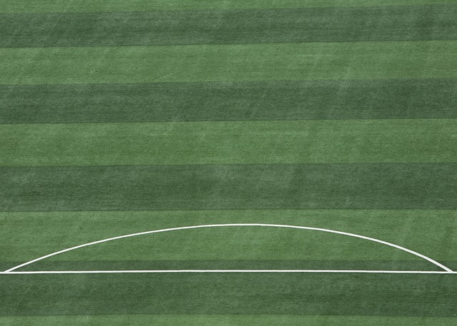 冠軍僅一步 冠軍僅一步