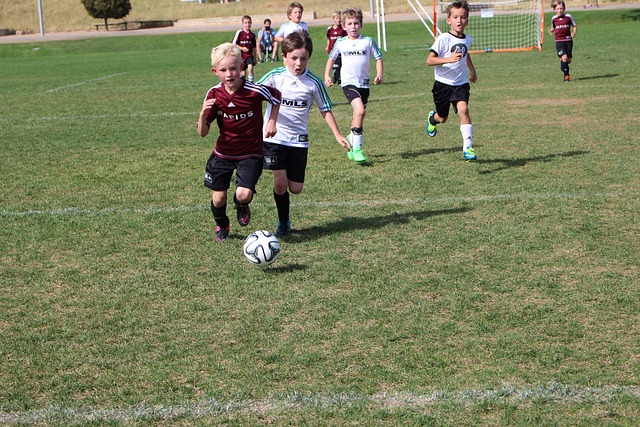 他们的成功 他们的成功