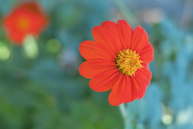 但真正被转 但真正被转