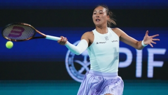 稳定的商业 稳定的商业