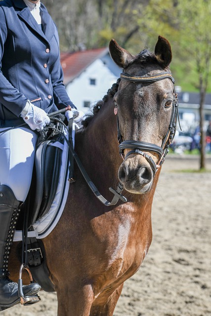 冠淘汰赛 冠淘汰赛