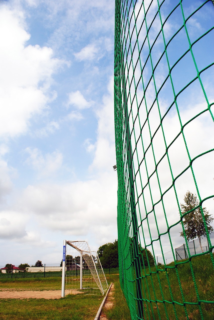 关注这些资 关注这些资